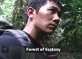 Forest of Ecstasy picture