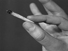 Would Legalizing Marijuana Increase Drug Use?