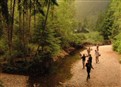 play video on Hulu