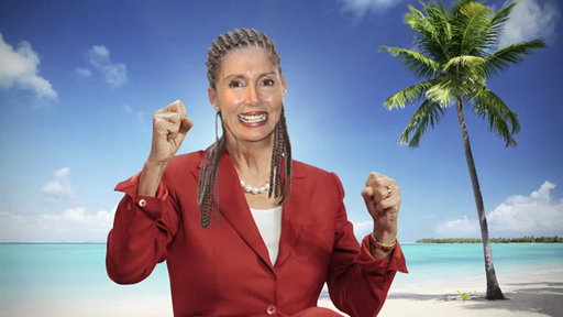 Pros and Cons: Congress On Vacation Video