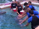 Barca Take On 'Miami Dolphins'