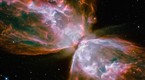 LiveMojo: Hubble Space Telescope: What It Has Shown Us