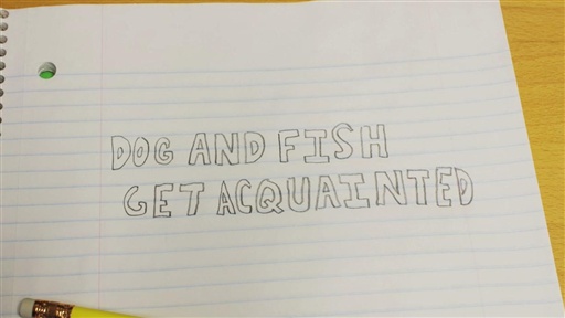 Dog and Fish Get Acquainted: Episode 9