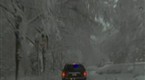 The Obama Administration: Tree Branch Delays Obama's Motorcade