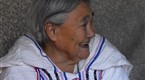 explore: Arctic Wisdom