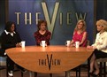 The View picture