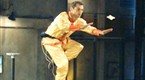 Fight Science - Crane Style Kung Fu
