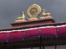 Lives of a Tibetan Nun