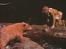 The Grizzly and the Treasure