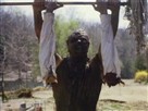 The Toxic Avenger 2