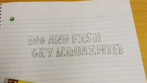 Dog & Fish Get Acquainted: Episode 1