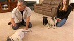 Dog Whisperer: Bella, Rocky and Madison &amp; Catalina (season 5, episode 16)