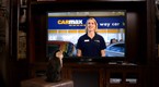 Carmax: Monkey/Dog