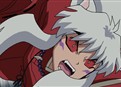Naraku: Trap of Darkness picture