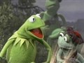 Frogs in the Glen