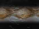 SpaceRip | Wandering Stars: a Tour of the Planets