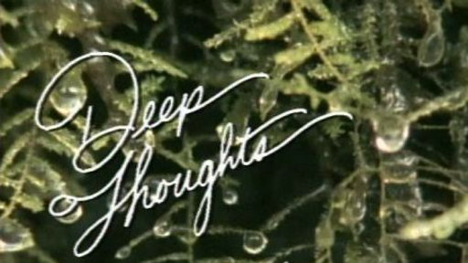 Deep Thoughts: Vampires Video