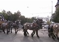 Munich picture