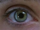 Requiem for a Dream Watch the Full Movie!