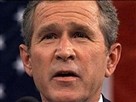 George W. Bush: Fighting To The Finish