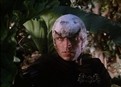 Time of the Hawk, Part 2 picture