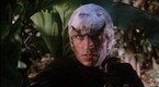Time of the Hawk, Part 2