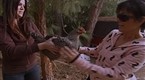 Keeping Up with The Kardashians: Chicken Run