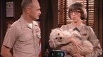 Major Dad: Elmo Come Home (season 2, episode 23)