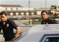 Panic in Alverez Park picture
