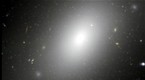 SpaceRip: Life and Times of a Galactic Cannibal