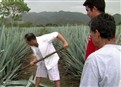 Mexico picture