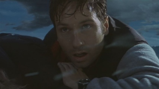 Scully You Have To See This
