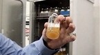 CNET News: Fill your car for $1.10 a gallon?