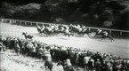 TVG: Epsom Derby
