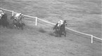 TVG: Female Jockeys in France