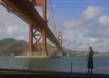 Jump in the Bay picture