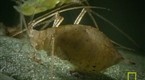 5245_145x80_manicured__k-i1slnyh0yrhh4ajniofa