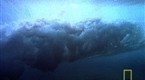 Tsunamis 101