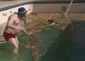 play video on Hulu