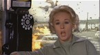 The Birds: Trapped In Phonebooth