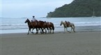 Temptation Island: Episode 10 (season 2, episode 10)
