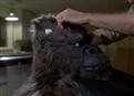 The Beast Within picture