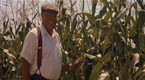 Field of Dreams: Terence mann Goes Into the Corn