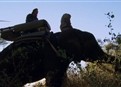 Botswana picture