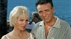 I Spy: One Thousand Fine (season 1, episode 28)