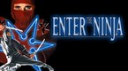 Enter the Ninja