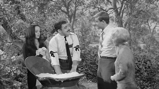 New Neighbors Meet the Addams Family