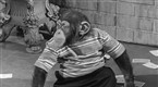 My Son, The Chimp
