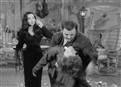 Gomez, The Reluctant Lover picture