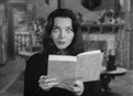 Morticia, The Writer picture